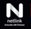 Netlink USA logo